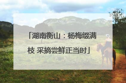 湖南衡山：杨梅缀满枝 采摘尝鲜正当时
