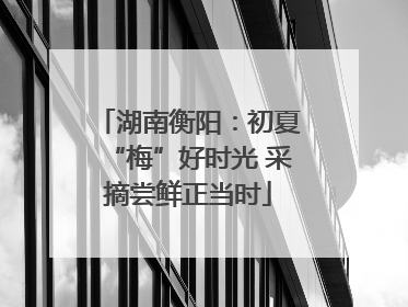 湖南衡阳：初夏“梅”好时光 采摘尝鲜正当时