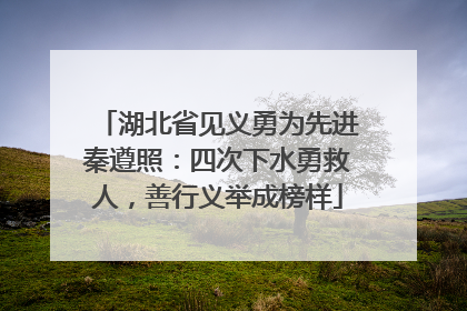 湖北省见义勇为先进秦遵照：四次下水勇救人，善行义举成榜样