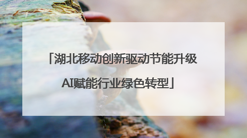 湖北移动创新驱动节能升级 AI赋能行业绿色转型