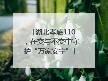 湖北孝感110，在变与不变中守护“万家安宁”