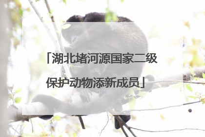 湖北堵河源国家二级保护动物添新成员