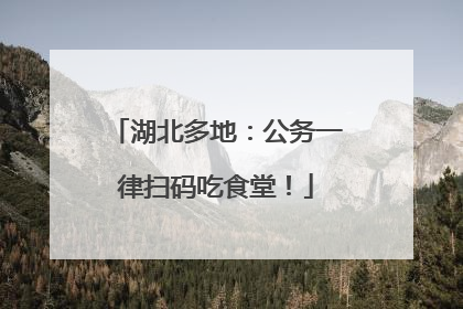 湖北多地：公务一律扫码吃食堂！