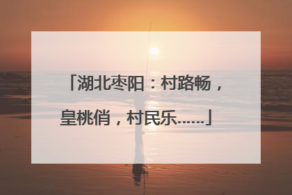 湖北枣阳：村路畅，皇桃俏，村民乐……