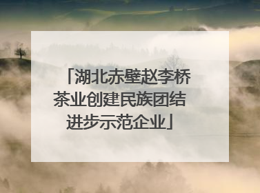 湖北赤壁赵李桥茶业创建民族团结进步示范企业