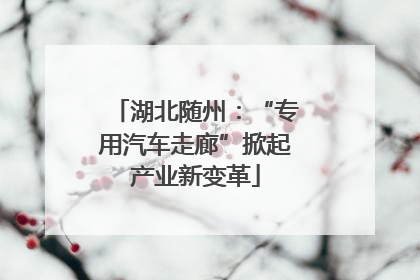 湖北随州：“专用汽车走廊”掀起产业新变革