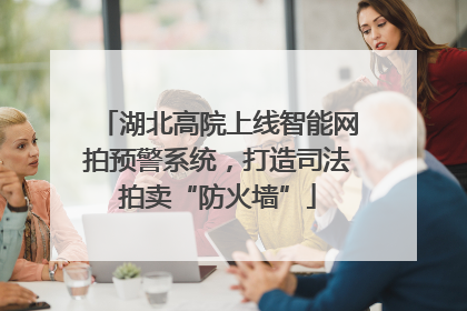 湖北高院上线智能网拍预警系统，打造司法拍卖“防火墙”