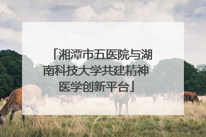 湘潭市五医院与湖南科技大学共建精神医学创新平台