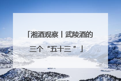 湘酒观察丨武陵酒的三个“五十三 ”