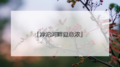 滹沱河畔夏意浓