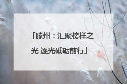 滕州：汇聚榜样之光 逐光砥砺前行