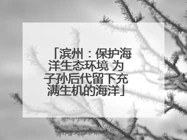 滨州：保护海洋生态环境 为子孙后代留下充满生机的海洋