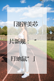 漫评美芯片新规：“打地鼠”