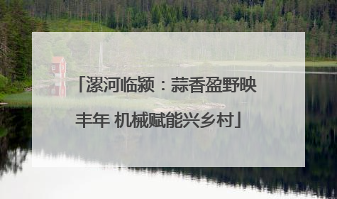 漯河临颍：蒜香盈野映丰年 机械赋能兴乡村