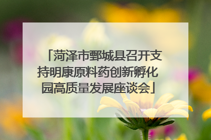 菏泽市鄄城县召开支持明康原料药创新孵化园高质量发展座谈会