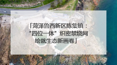 菏泽鲁西新区陈集镇：“四位一体”织密禁烧网 绘就生态新画卷