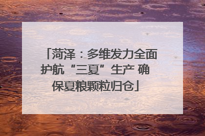 菏泽：多维发力全面护航“三夏”生产 确保夏粮颗粒归仓