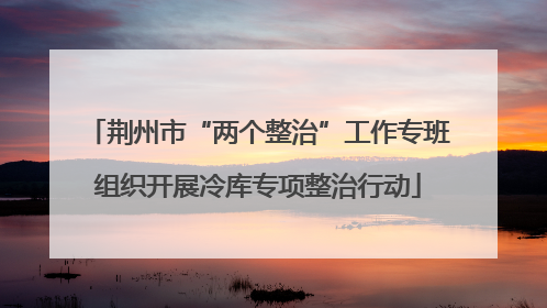 荆州市“两个整治”工作专班组织开展冷库专项整治行动