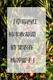 草莓西红柿丰收却滞销 果农在线等援手