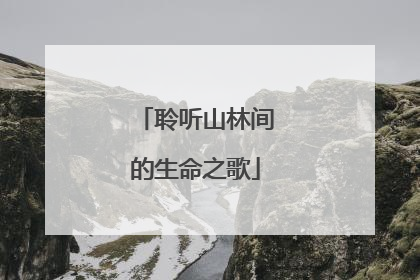 聆听山林间的生命之歌