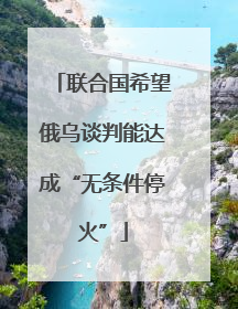 联合国希望俄乌谈判能达成“无条件停火”