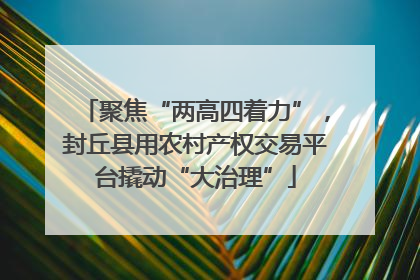 聚焦“两高四着力”，封丘县用农村产权交易平台撬动“大治理”