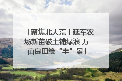 聚焦北大荒丨延军农场新苗破土铺绿浪 万亩良田绘“丰”景