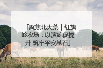 聚焦北大荒｜红旗岭农场：以演练促提升 筑牢平安基石