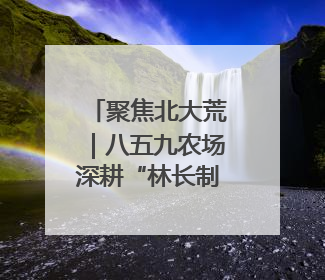 聚焦北大荒｜八五九农场深耕“林长制” 守护“生态绿”