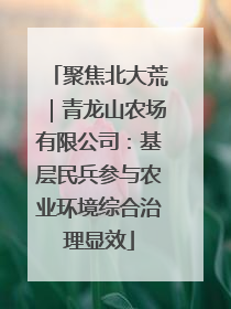 聚焦北大荒｜青龙山农场有限公司：基层民兵参与农业环境综合治理显效