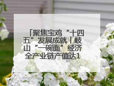 聚焦宝鸡“十四五”发展成就丨岐山“一碗面”经济全产业链产值达162亿元 入选全国典型县