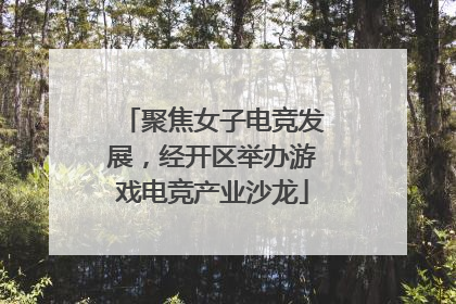 聚焦女子电竞发展，经开区举办游戏电竞产业沙龙