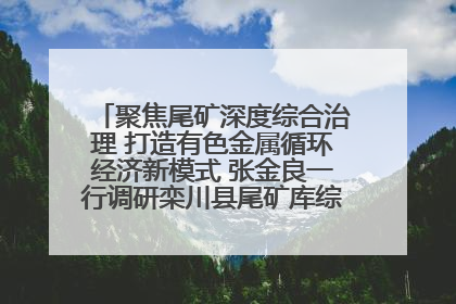 聚焦尾矿深度综合治理 打造有色金属循环经济新模式 张金良一行调研栾川县尾矿库综合治理工作