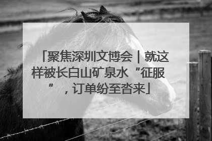 聚焦深圳文博会｜就这样被长白山矿泉水“征服”，订单纷至沓来