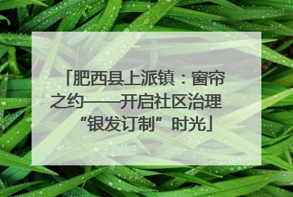 肥西县上派镇：窗帘之约——开启社区治理“银发订制”时光
