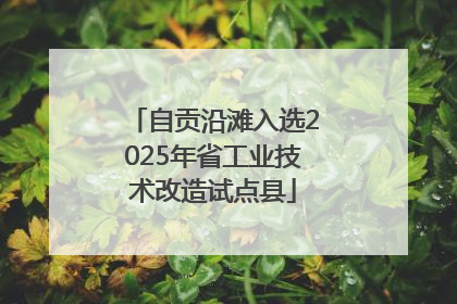 自贡沿滩入选2025年省工业技术改造试点县