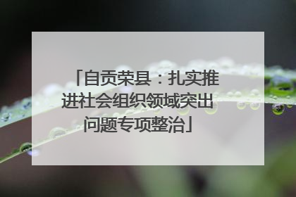 自贡荣县：扎实推进社会组织领域突出问题专项整治