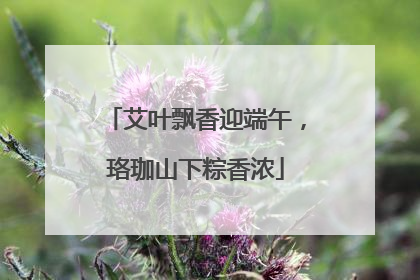 艾叶飘香迎端午，珞珈山下粽香浓