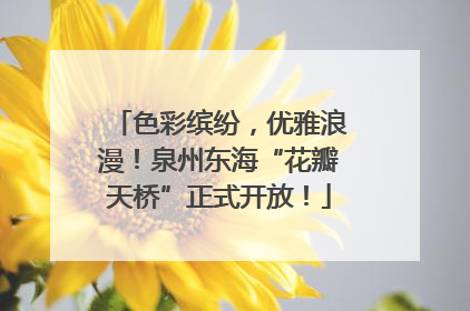 色彩缤纷，优雅浪漫！泉州东海“花瓣天桥”正式开放！
