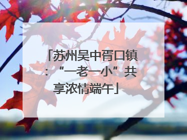 苏州吴中胥口镇：“一老一小”共享浓情端午