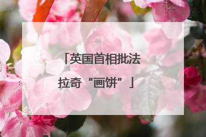 英国首相批法拉奇“画饼”