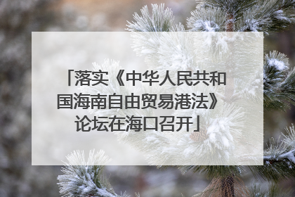 落实《中华人民共和国海南自由贸易港法》论坛在海口召开