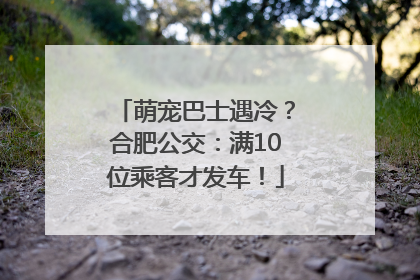 萌宠巴士遇冷？合肥公交：满10位乘客才发车！