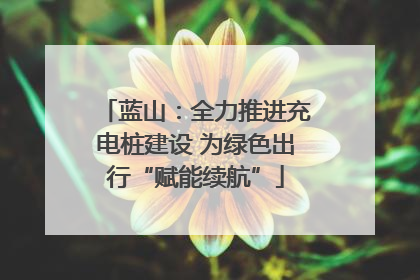 蓝山：全力推进充电桩建设 为绿色出行“赋能续航”