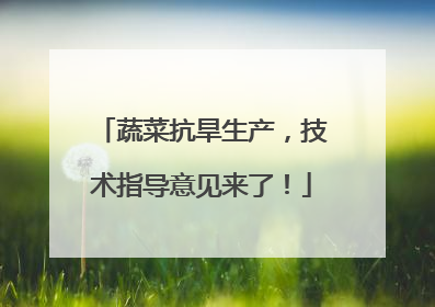 蔬菜抗旱生产，技术指导意见来了！