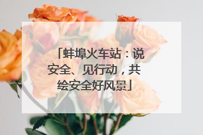 蚌埠火车站：说安全、见行动，共绘安全好风景