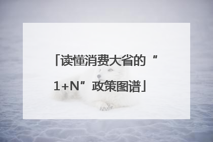 读懂消费大省的“1+N”政策图谱