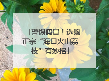 警惕假冒！选购正宗“海口火山荔枝”有妙招