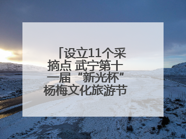 设立11个采摘点 武宁第十一届“新光杯”杨梅文化旅游节开幕（组图）