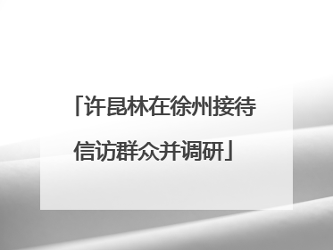 许昆林在徐州接待信访群众并调研